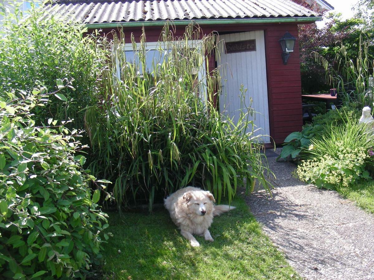 Ferienwohnung Kreider Dagebüll エクステリア 写真